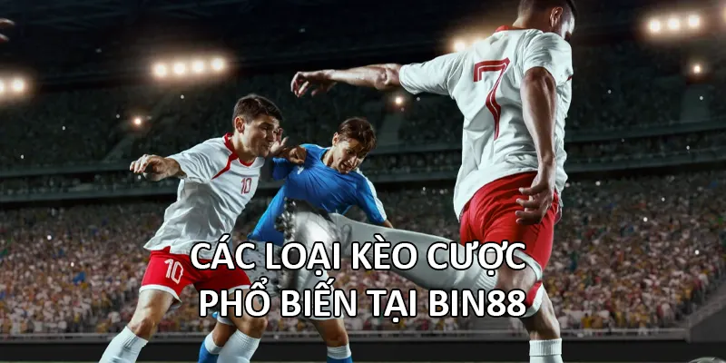 Các loại kèo cược phổ biến tại Bin88
