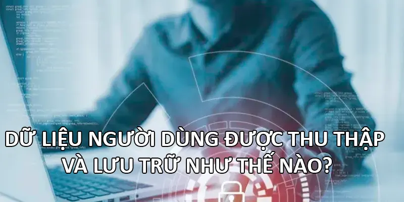 Dữ liệu người dùng được thu thập và lưu trữ như thế nào?