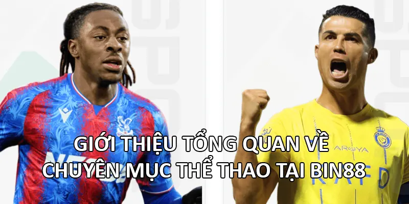 Giới thiệu tổng quan về chuyên mục thể thao tại Bin88