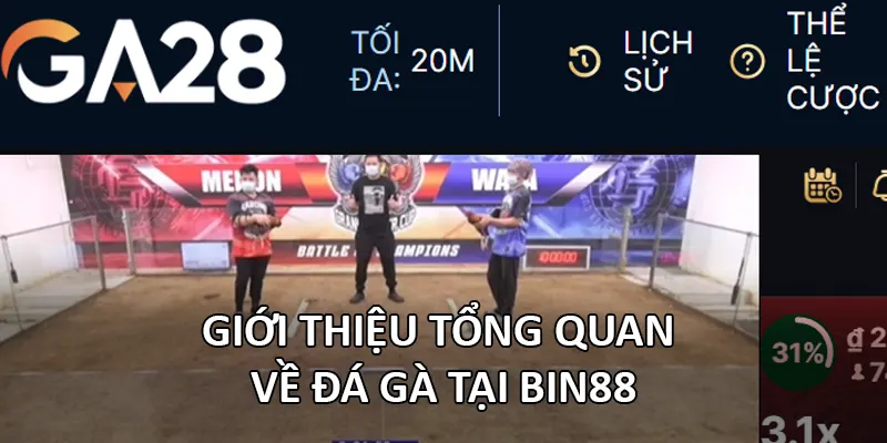 Giới thiệu tổng quan về đá gà tại Bin88