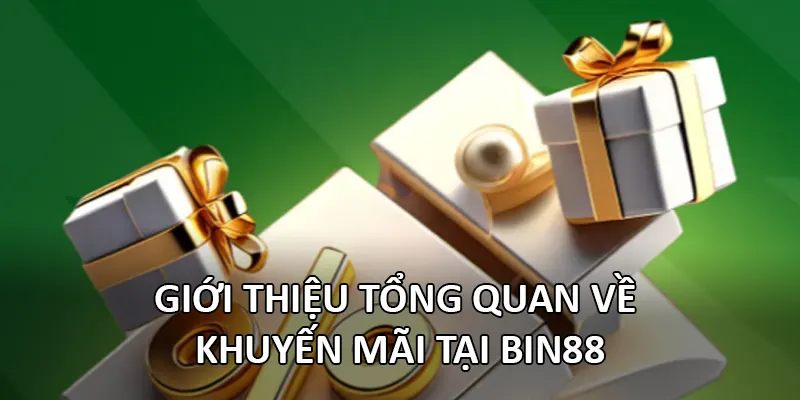 Giới thiệu tổng quan về khuyến mãi tại Bin88