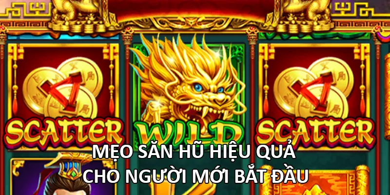 Mẹo săn Hũ hiệu quả cho người mới bắt đầu