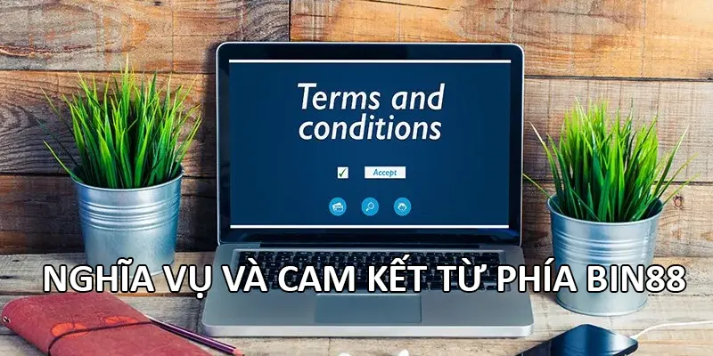 Nghĩa vụ và cam kết từ phía Bin88