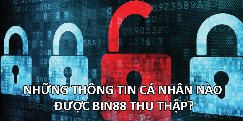Những thông tin cá nhân nào được Bin88 thu thập?