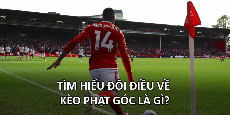 Tìm hiểu đôi điều về kèo phạt góc là gì?